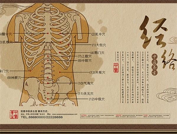 圣法中医经络减肥